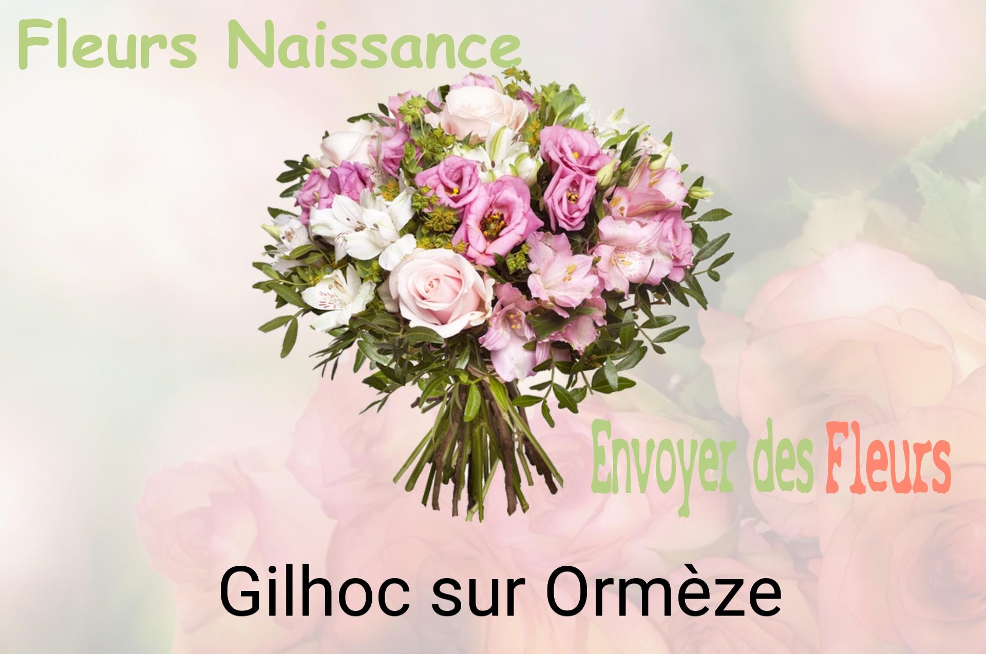 Bouquet de fleurs de naissance livré à Gilhoc-sur-Ormèze